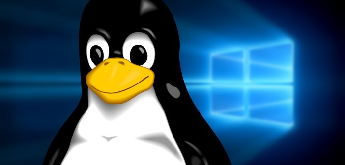 quais-as-diferencas-entre-linux-e-windows
