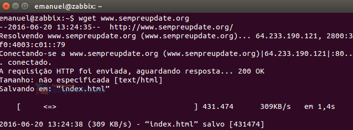 wget desvendendo segredos