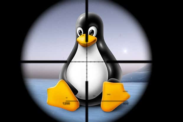 01 linux penguin shoot 100567197 primary.idge mini