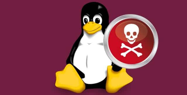 pyloose-novo-malware-linux-extrai-criptografia-diretamente-da-memoria
