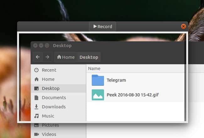 Como-instalar-Peek-Ubuntu-Debian-Fedora-openSUSE-qualquer-distro-Linux