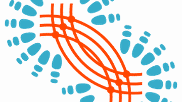 entangle