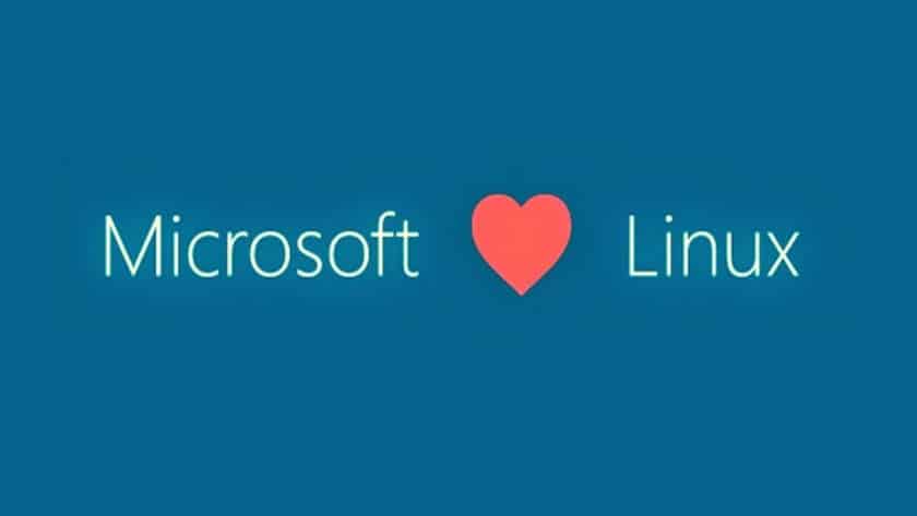Microsoft e Linux
