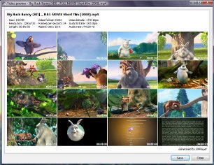 SMPlayer