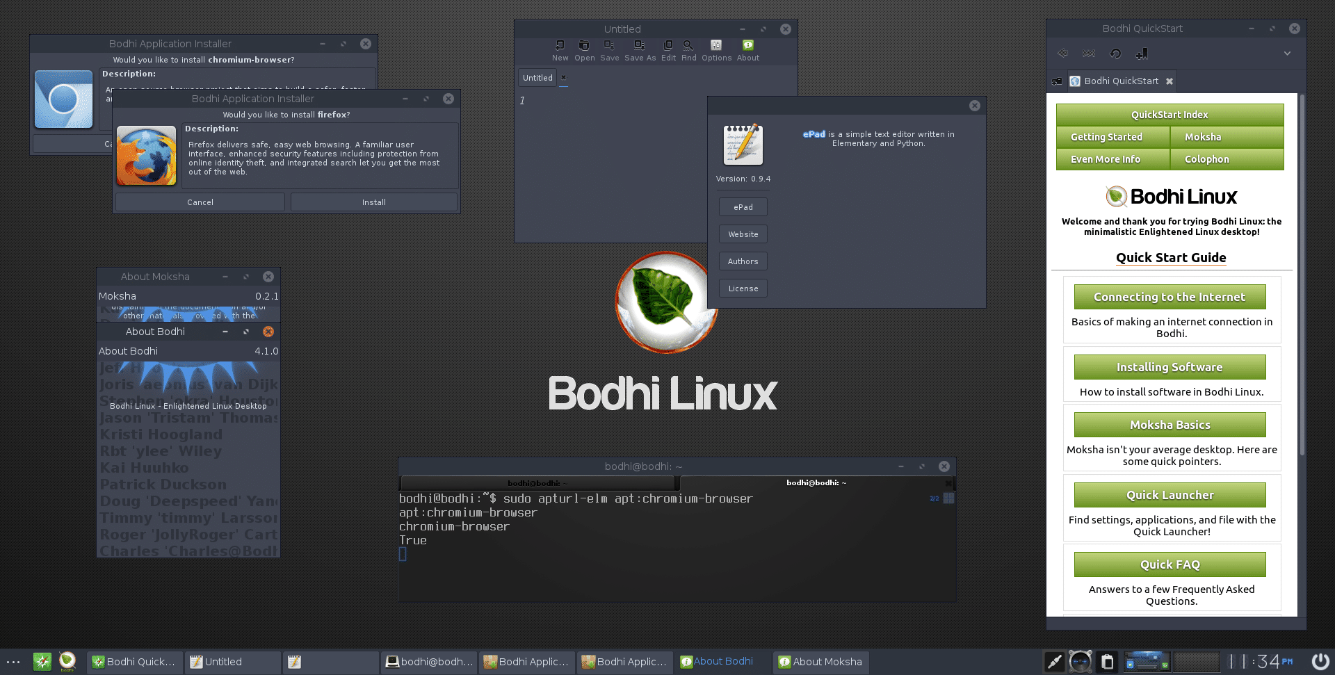 Bodhi Linux