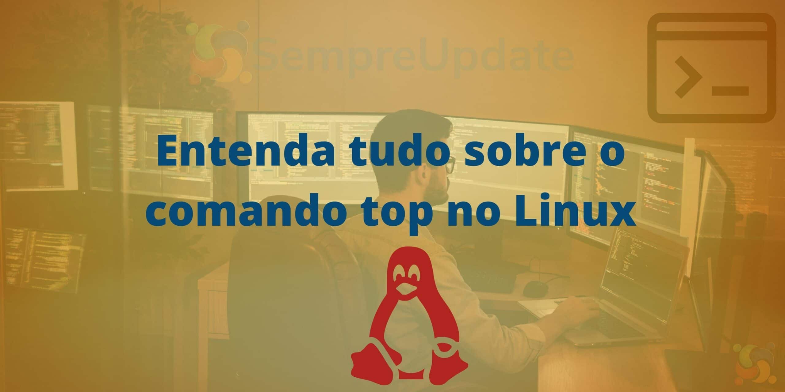 tudo-sobre-o-comando-top-no-linux-0