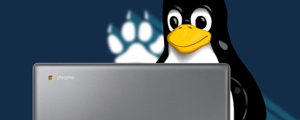 aplicativos-linux-nao-estao-funcionando-em-todos-os-chromebooks
