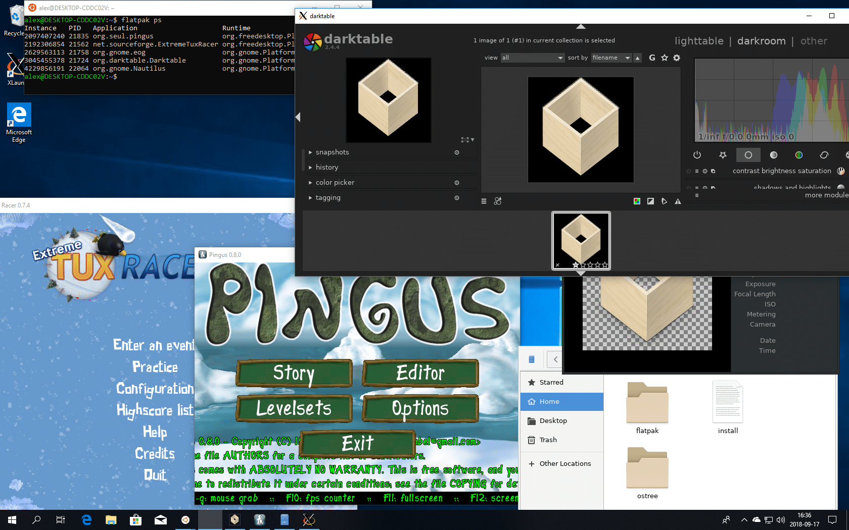 flatpak-para-windows-WSL-flatpak