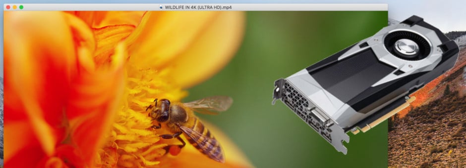 Wine, VLC, Wireshark e outros aplicativos são atualizados