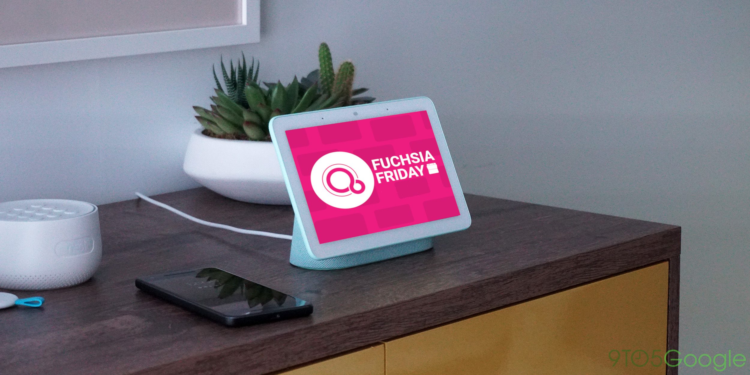 home hub fuchsia