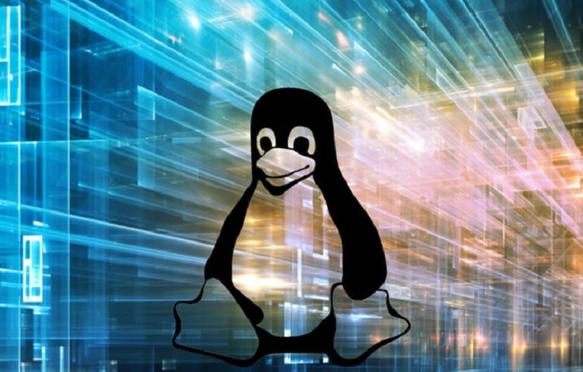 Linux 5.4-rc2 é lançado como "Nesting Opossum"
