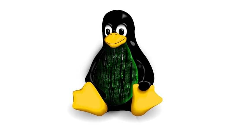Linux 5.10 será capaz de hibernar e reiniciar muito mais rápido