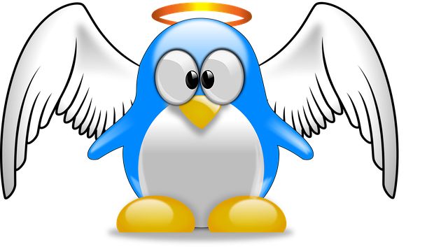 Qual distro Linux devo usar?