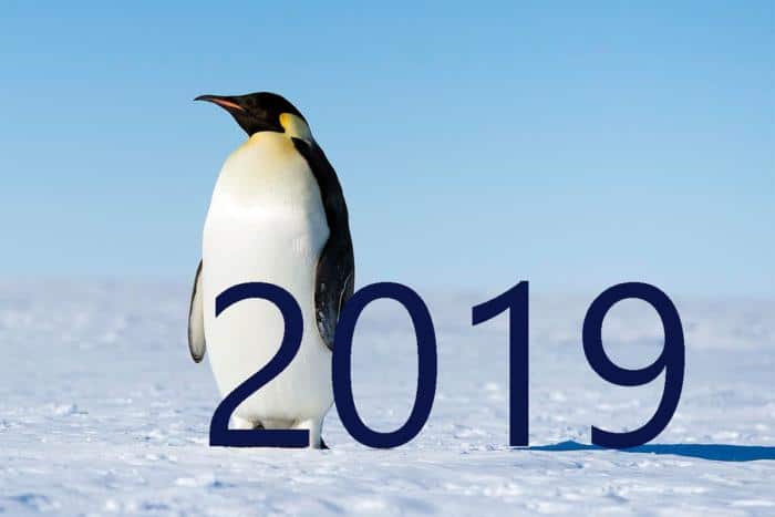 Previsões para o código aberto em 2019