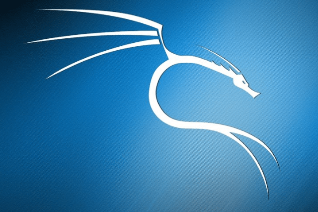 Kali Linux 2020.1a corrige erro do instalador