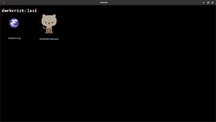 lsix, uma variante do ls para exibir imagens no terminal