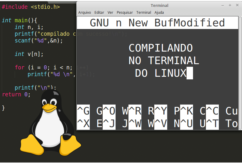 Script para compilar e executar programas escritos em Linguagem C