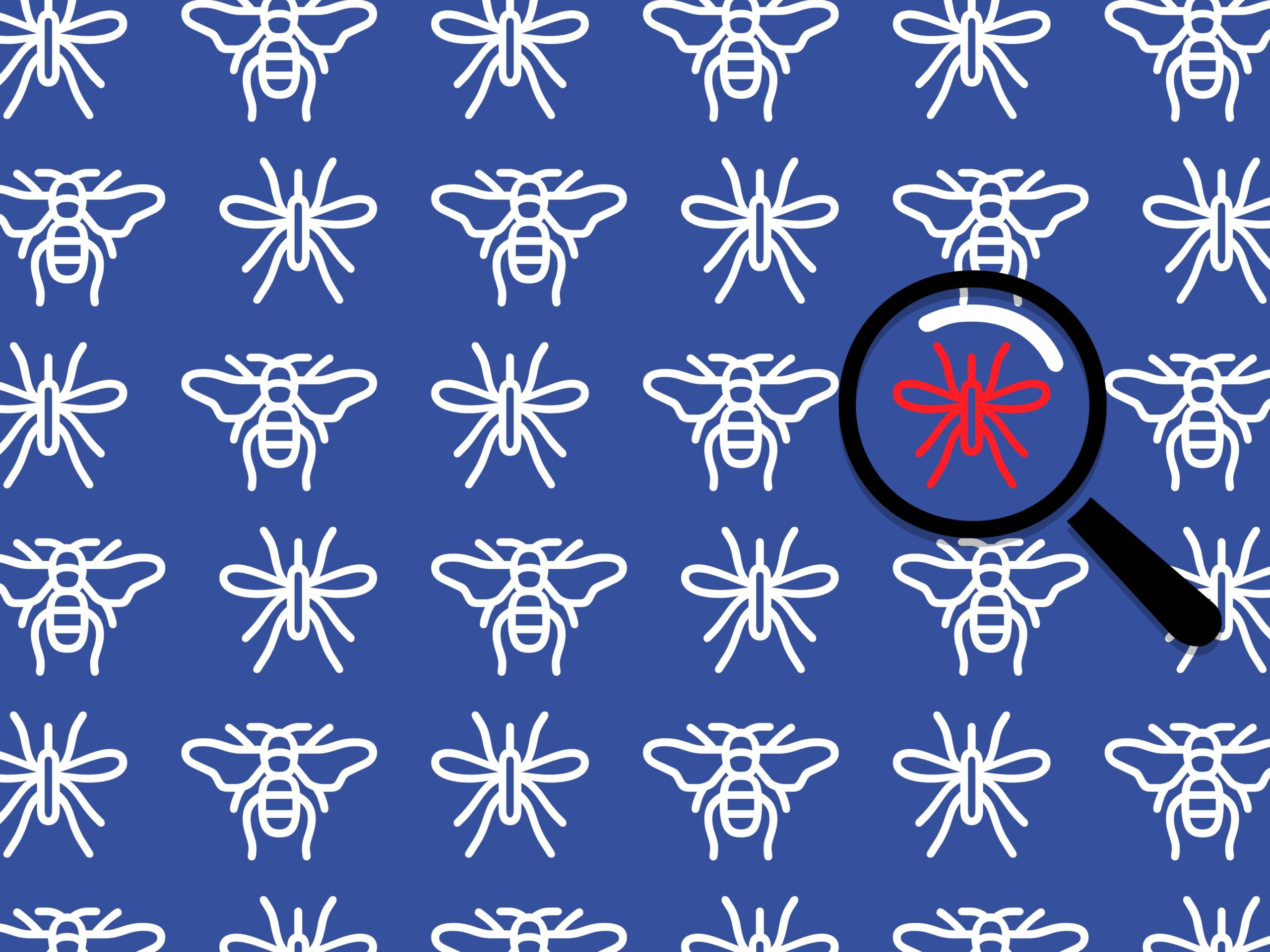 Bug Bounty