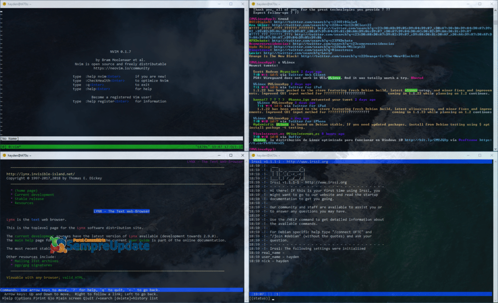 pengwin um linux desenvolvido exclusivamente para o windows subsystem for linux 1
