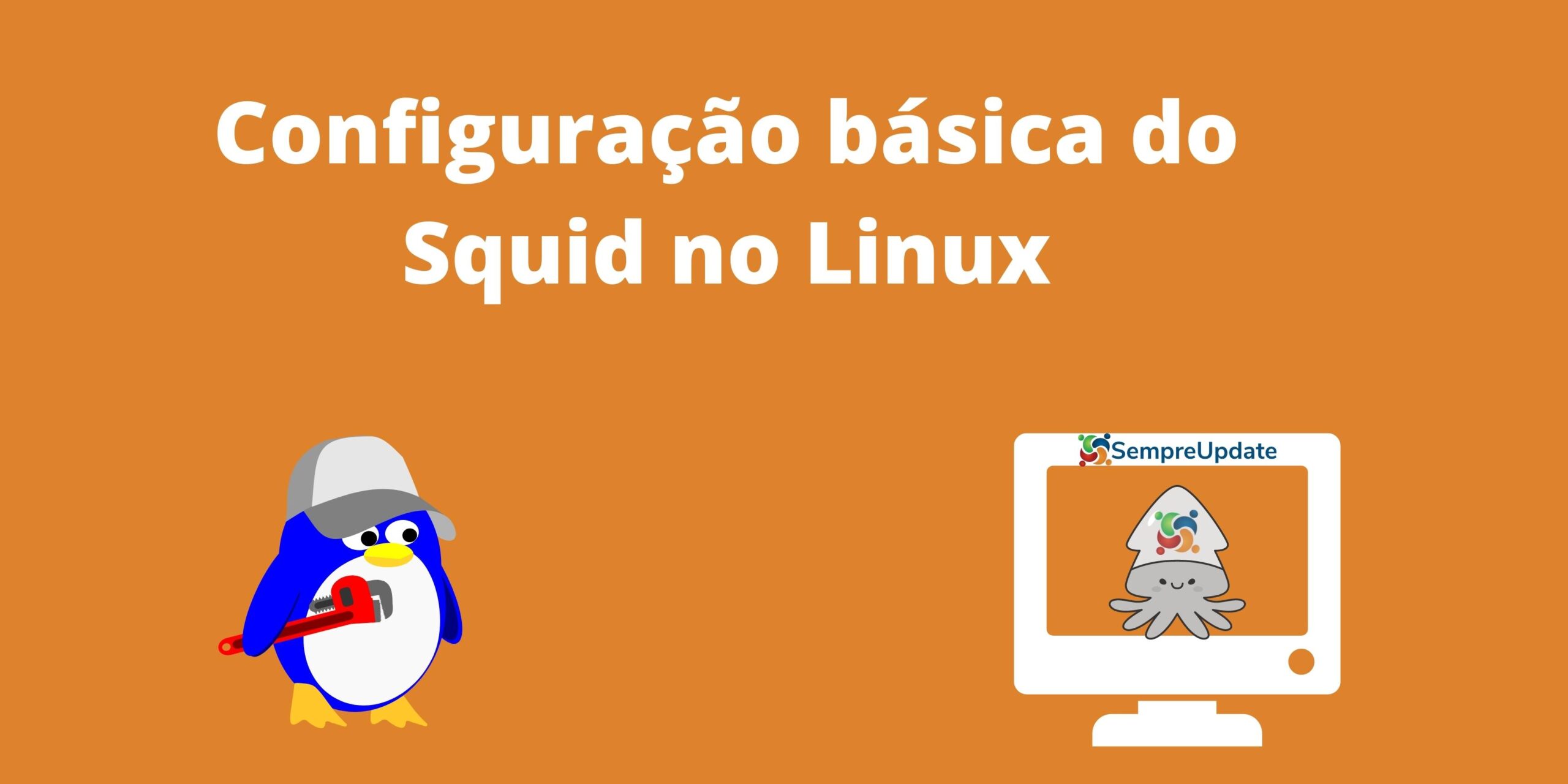 saiba-como-fazer-a-configuracao-basica-do-squid-no-linux
