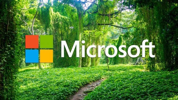 bosque-uma-nova-linguagem-de-programacao-da-microsoft-sem-loops-inspirada-no-typescript