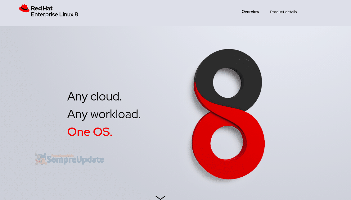 Distribuição Red Hat Enterprise Linux 8.4 lançada com Tiger Lake Graphics e suporte expandido eBPF