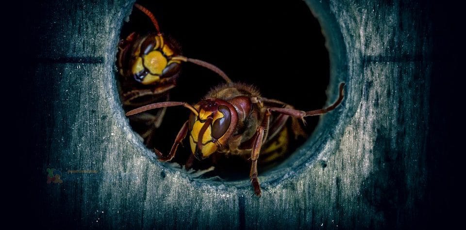 novo-malware-tem-como-alvo-o-linux