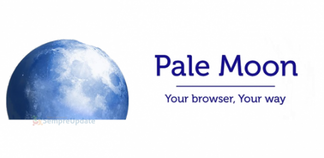 hackers-infectam-servidor-do-navegador-pale-moon