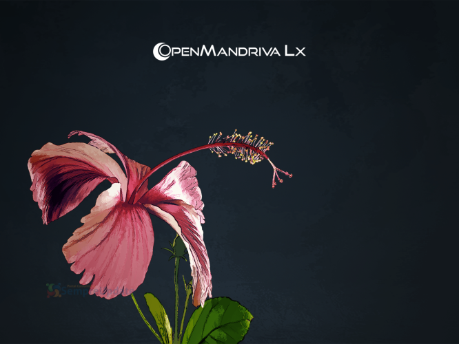 Q4OS, OpenMandriva, Feren OS, Clonezilla, Tails e AntiX apresentam novidades