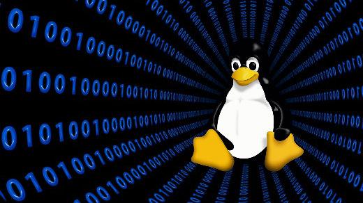 Clonezilla Live 3.0.2 tem kernel Linux 6.0