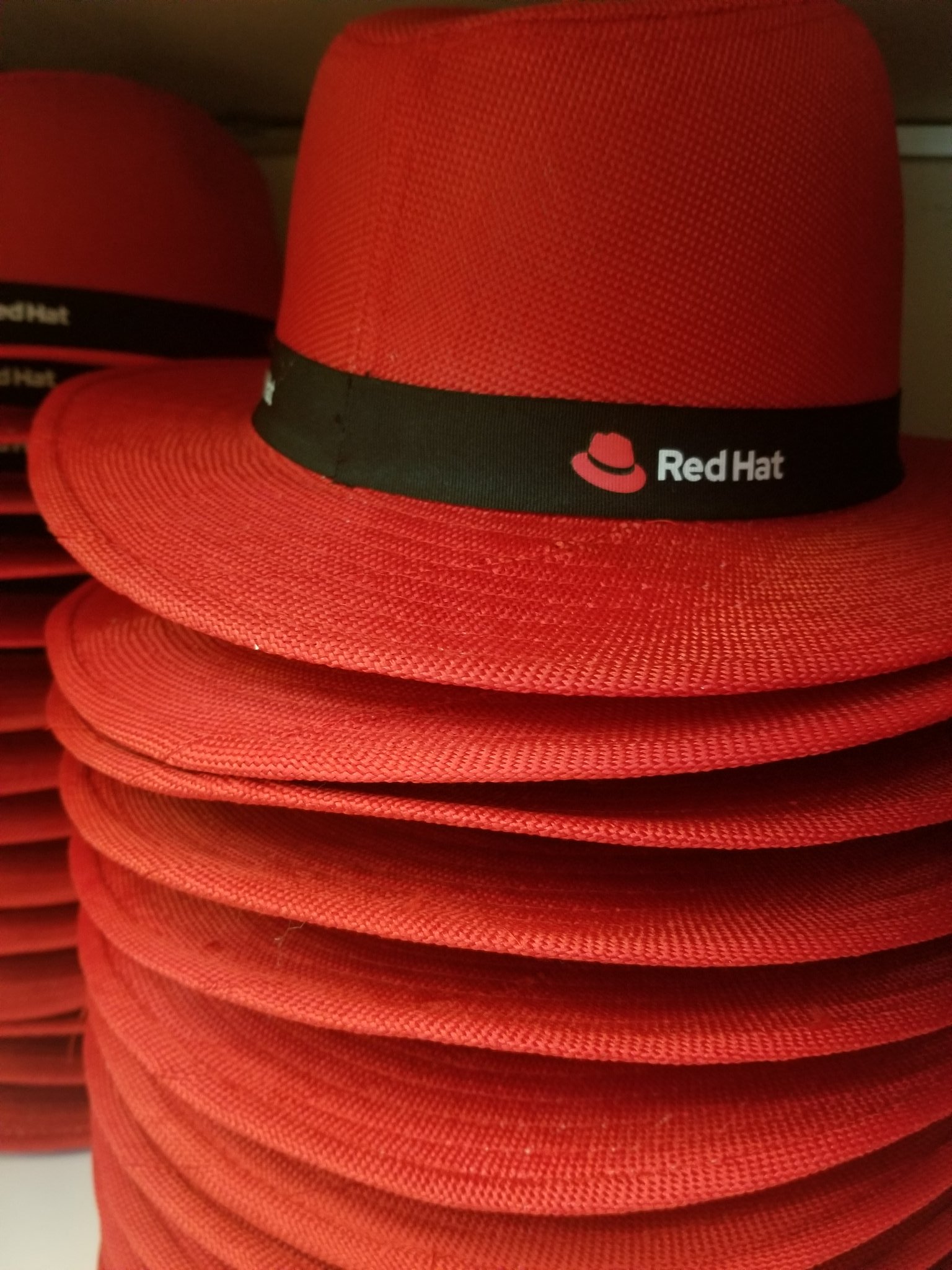 Red Hat Enterprise Linux 8.2 entra na versão beta