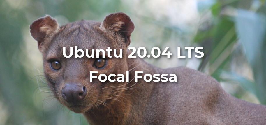 ubuntu 20 04 lts rumores e expectativas para a proxima versao do ubuntu