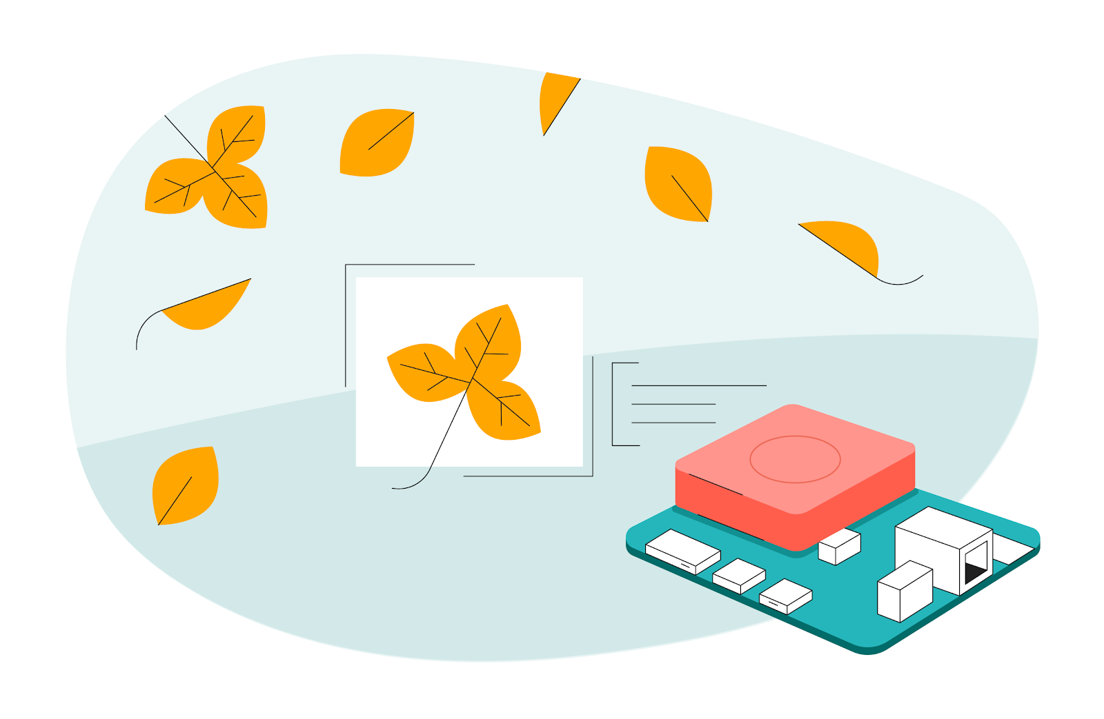 Placa Coral do Raspberry Pi do Google vem com novo Debian 10