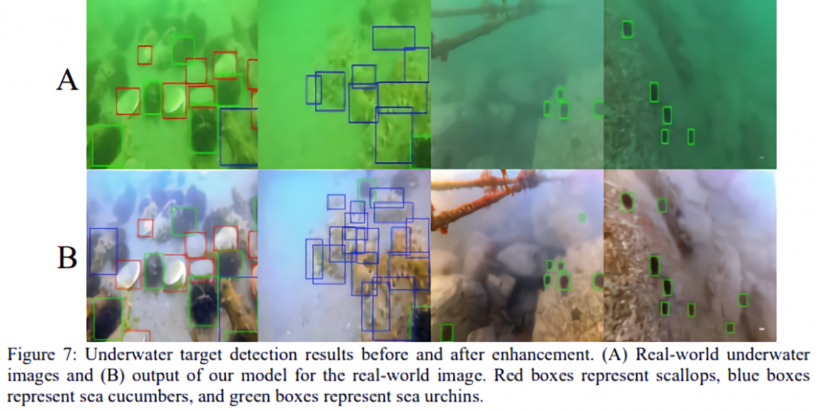 Pesquisadores detalham Inteligência Artificial que tira a névoa e colore fotos subaquáticas