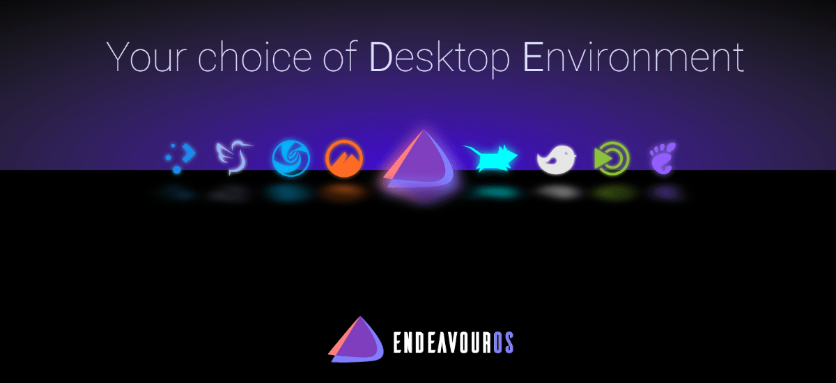 Endeavour adia o lançamento de versão com net-installer