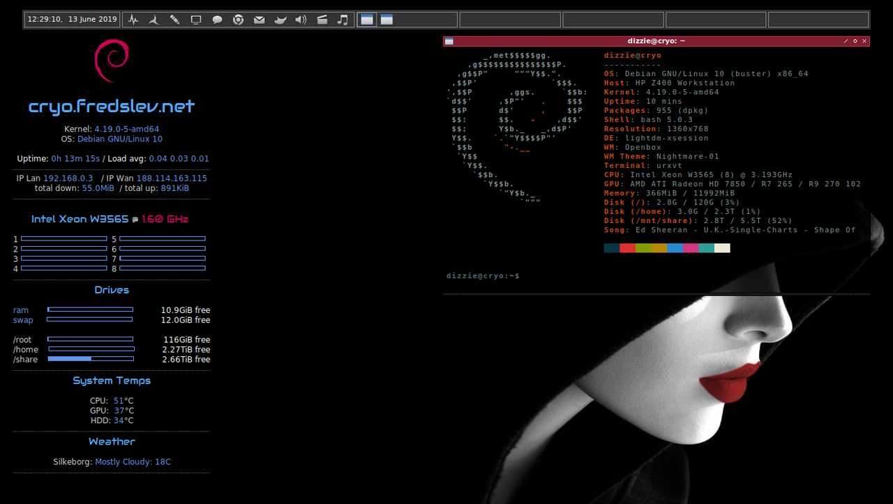 vsido-distribuicao-linux-rolling-release-debian