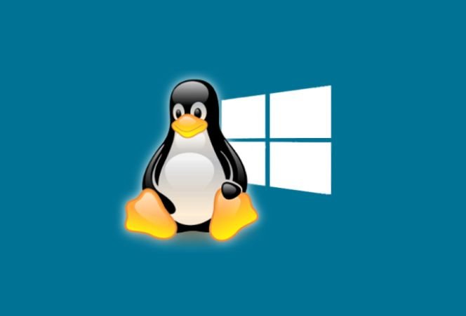 Windows baseado em Linux é ilusão, diz engenheiro da Canonical