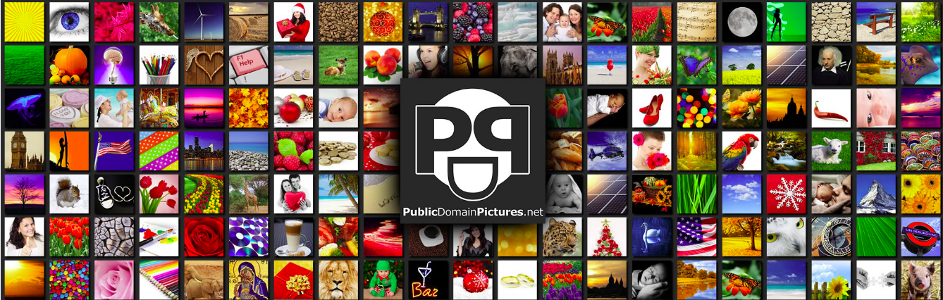 Aplicativo para Linux permite pesquisar e baixar fotos grátis