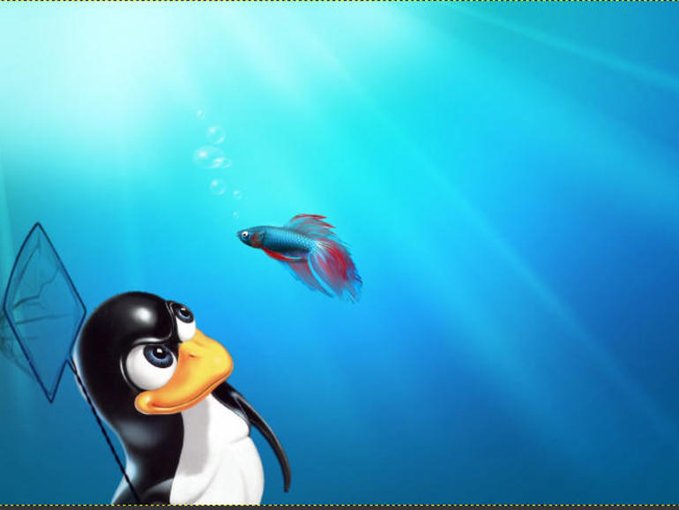 Por que e como substituir o Windows 7 pelo Linux Mint