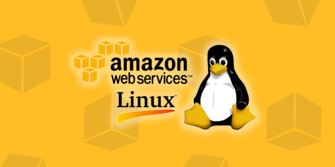 Distribuição Linux Bottlerocket da Amazon está disponível