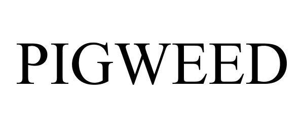 Google cria novo sistema operacional chamado 'Pigweed'