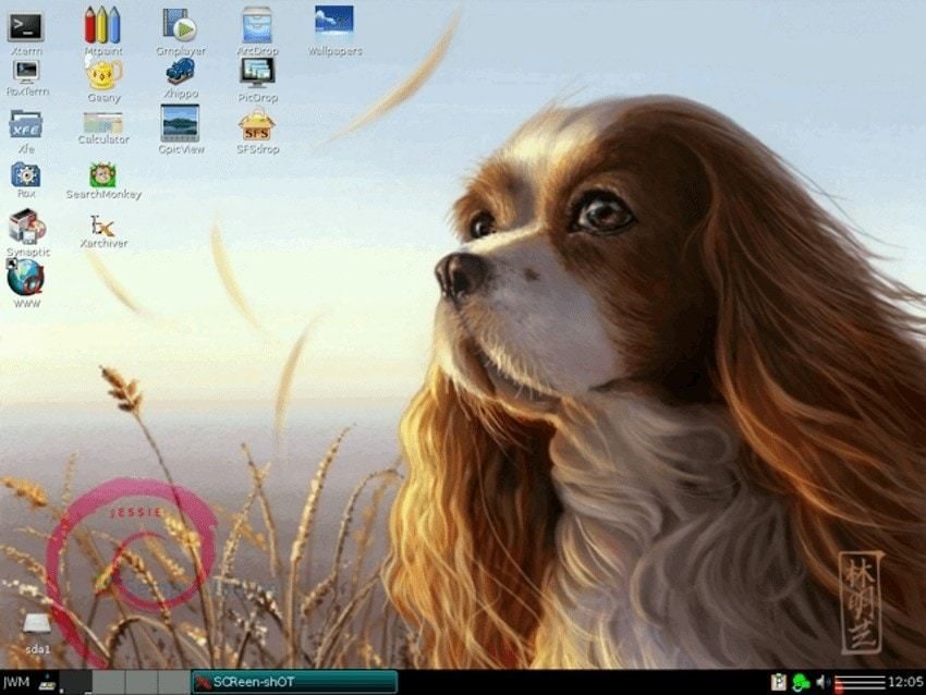 Conheça o DebianDog: Uma distribuição Linux com menos de 300 MB