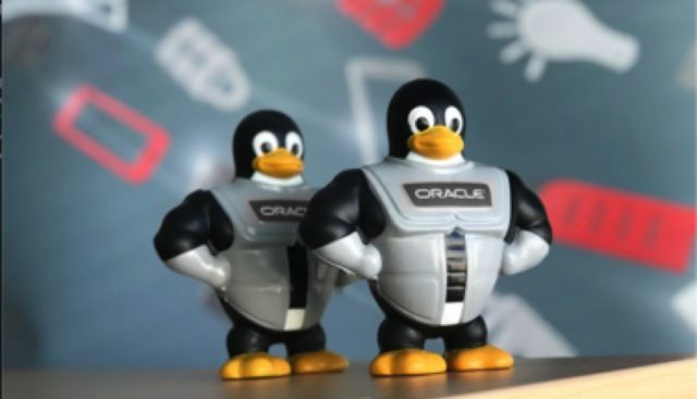 Muito além do CentOS e RHEL: conheça alternativas viáveis aos dois sistemas