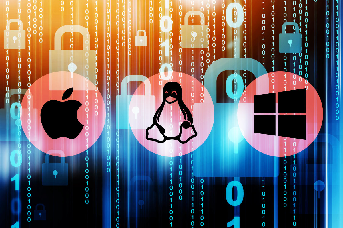 Bug de execução de código corrigido no pacote de segurança de servidor Imunify360 Linux