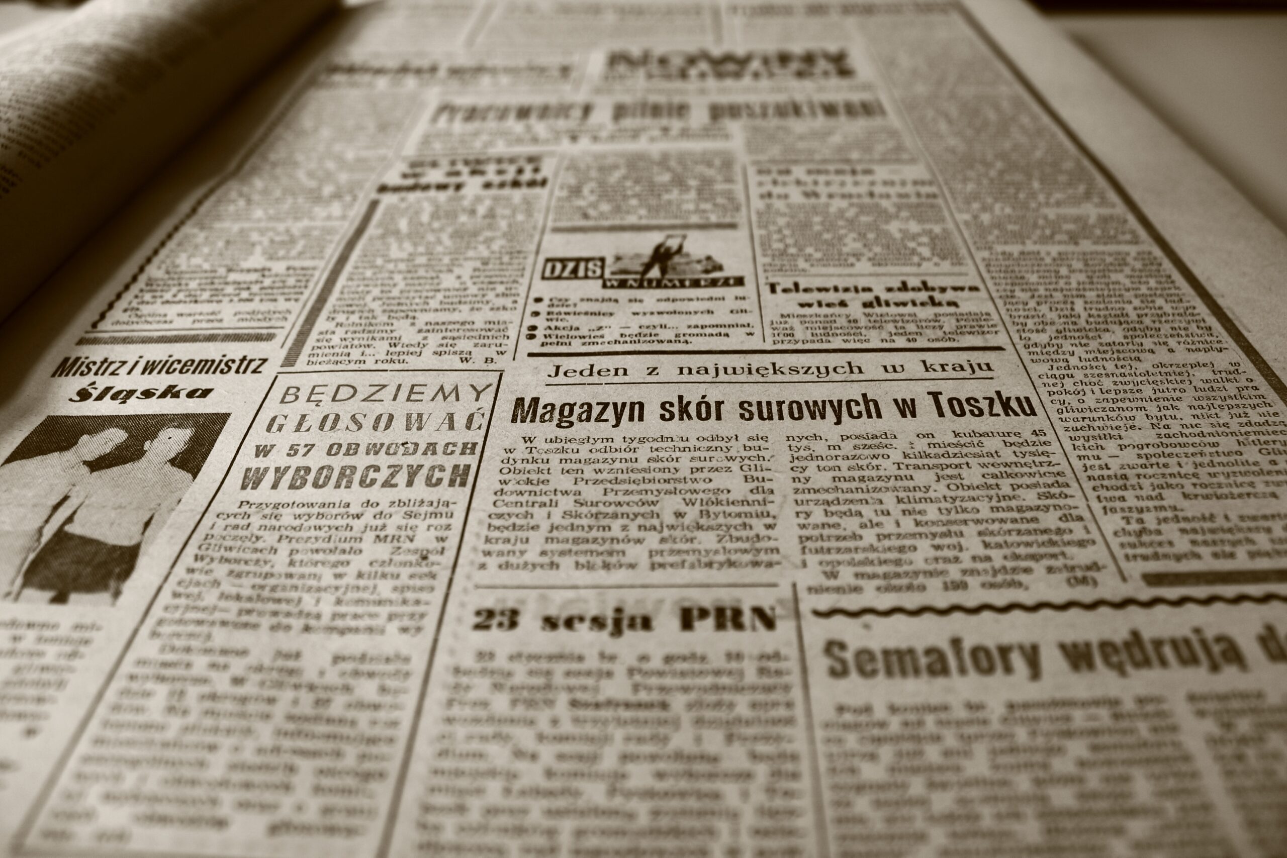 Conheça o Scribus: Um software de editoração eletrônica de código aberto