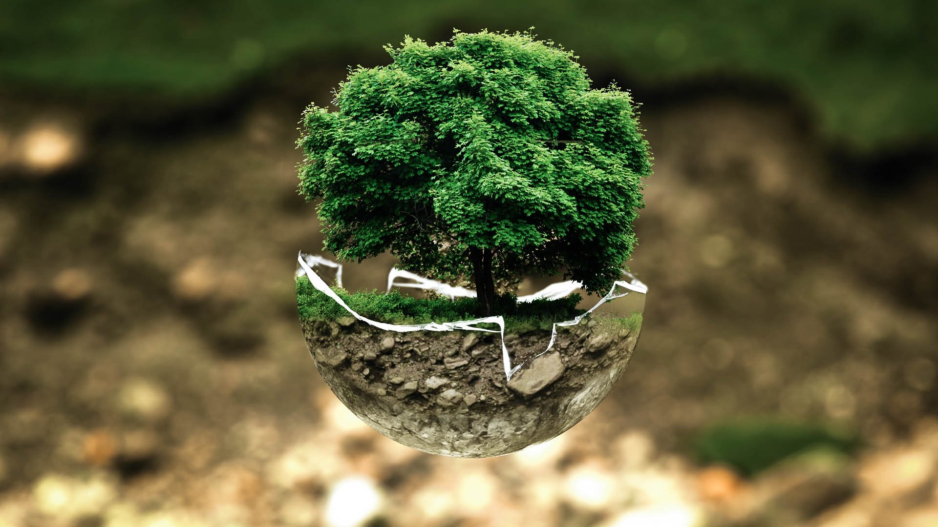 Conheça o smartphone mais ecológico do mundo