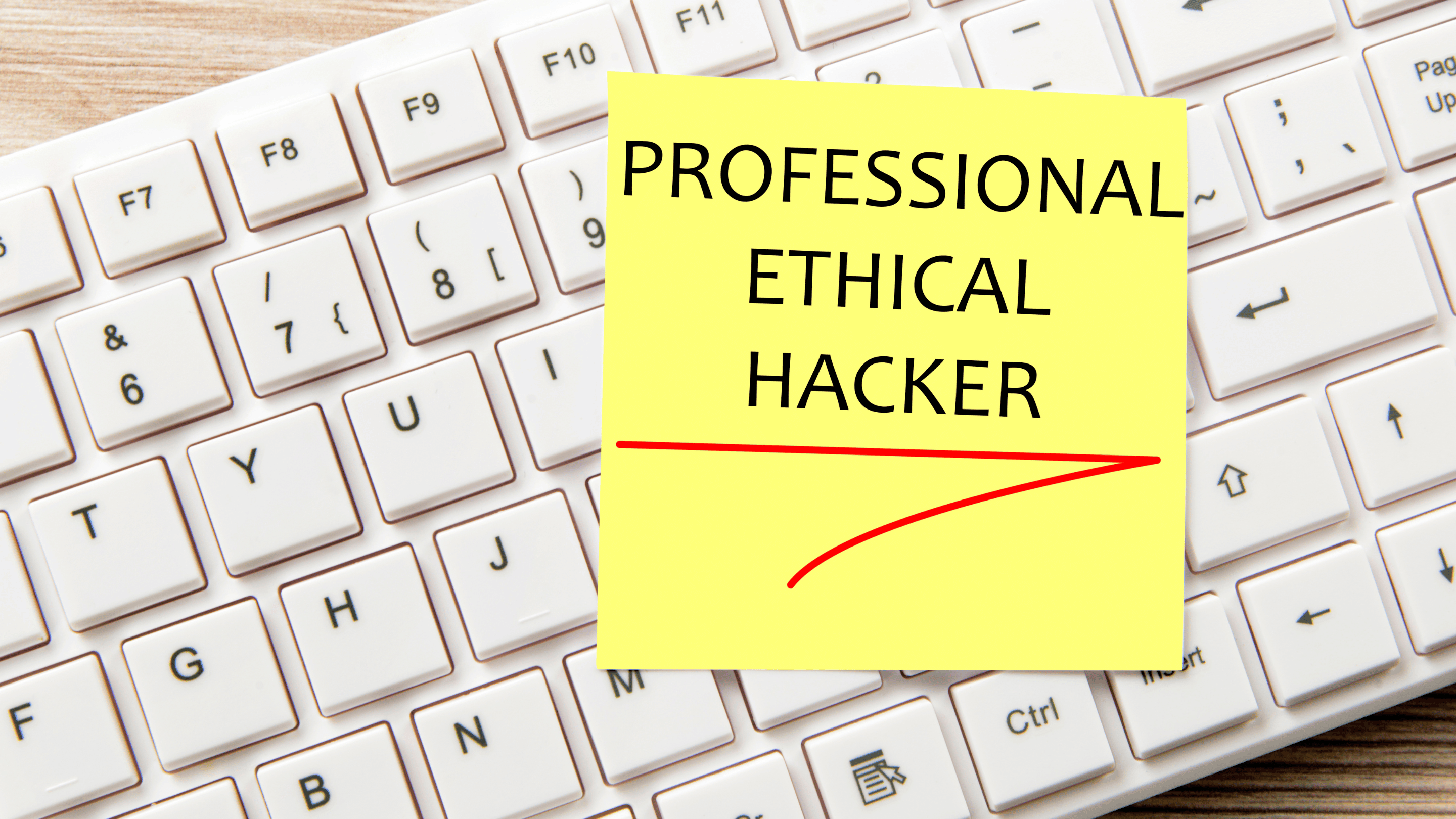 melhores-distribuicoes-linux-para-hackers-eticos