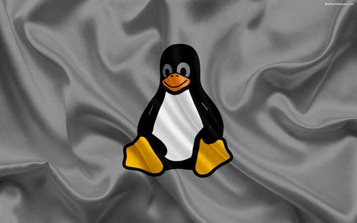 Linux 5.10-rc4 lançado e ritmo de desenvolvimento continua intenso
