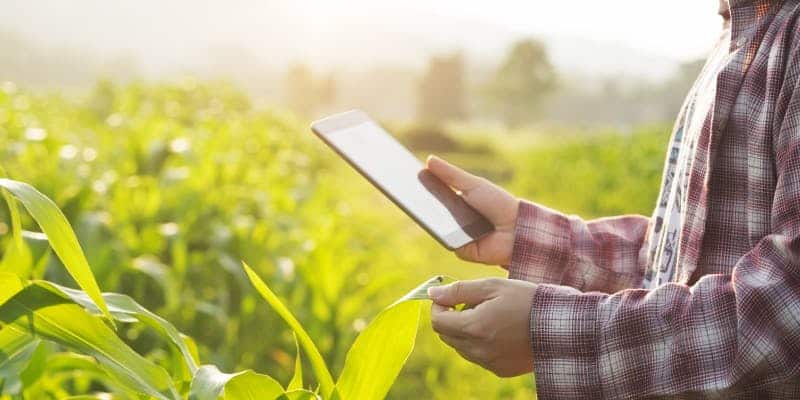 IA registra horas de trabalho no campo para 3 mil colaboradores