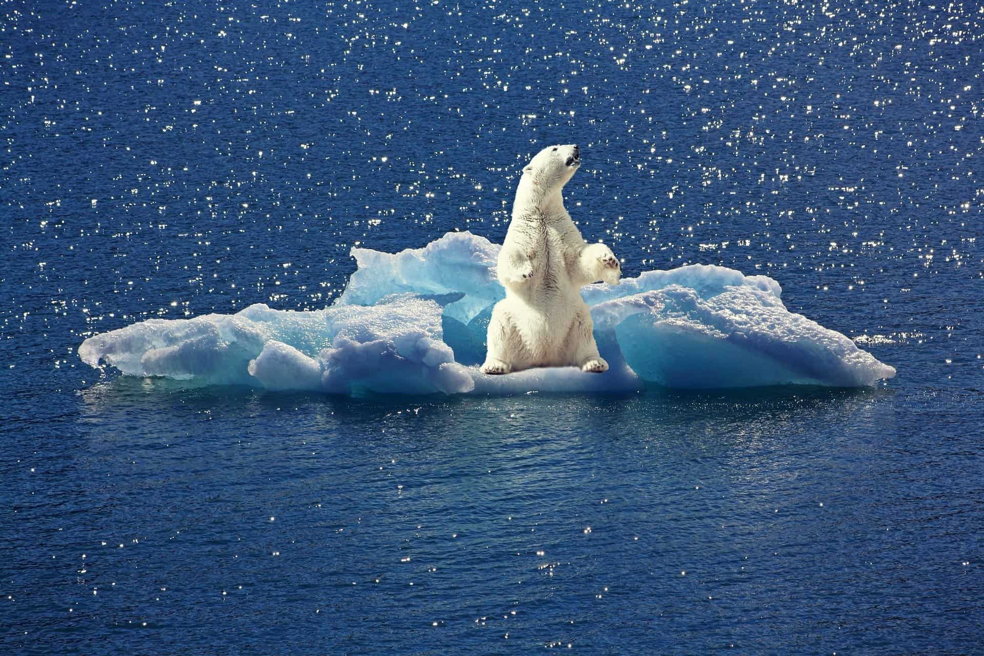 Centro de informações do Facebook destacará dados científicos sobre mudanças climáticas